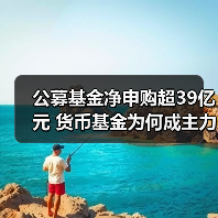 公募基金净申购超39亿元 货币基金为何成主力?(图2) 公募基金净申购超39亿元 货币基金为何成主力?(图2)