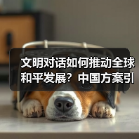 文明对话如何推动全球和平发展？中国方案引关注(图4)