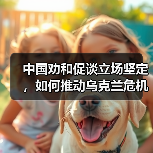 中国劝和促谈立场坚定,如何推动乌克兰危机和平解决?(图2) 中国劝和促谈立场坚定,如何推动乌克兰危机和平解决?(图2)