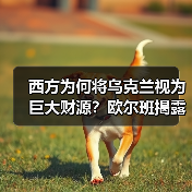 西方为何将乌克兰视为巨大财源?欧尔班揭露战争经济真相(图2) 西方为何将乌克兰视为巨大财源?欧尔班揭露战争经济真相(图2)