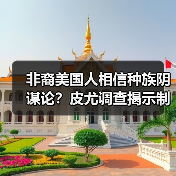 非裔美国人相信种族阴谋论?皮尤调查揭示制度阻碍真相(图2) 非裔美国人对制度深感不信任:种族阴谋论如何影响其发展?-玄熵百博咨询(图2)