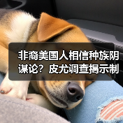 非裔美国人相信种族阴谋论?皮尤调查揭示制度阻碍真相(图3) 非裔美国人对制度深感不信任:种族阴谋论如何影响其发展?-玄熵百博咨询(图3)