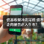 债基收益冲高背后 债市走向是否进入牛市?(图4) 债基收益冲高背后 债市走向是否进入牛市?(图4)
