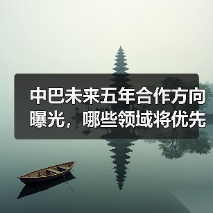中巴深化经贸科技合作 未来5年聚焦哪些重 - 玄熵百博咨询