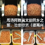 周迅阿雅莫文蔚回乡之旅，治愈综艺《很高兴认识你3》收官引热议(图4)