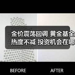 金价震荡回调 黄金基金热度不减 投资机会在哪?(图4) 金价震荡回调 黄金基金热度不减 投资机会在哪?(图4)