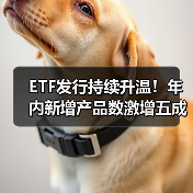 ETF发行持续升温!年内新增产品数激增五成,背后原因揭秘(图4) ETF发行持续升温!年内新增产品数激增五成,背后原因揭秘(图4)