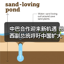 中巴合作迎来新机遇 巴西副总统呼吁中国扩大投资(图1)