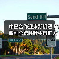 中巴合作迎来新机遇 巴西副总统呼吁中国扩大投资(图3)