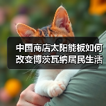 中国商店太阳能板如何改变博茨瓦纳居民生活(图4)