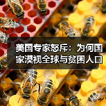 美国专家怒斥：为何国家漠视全球与贫困人口 - 玄熵百博咨询