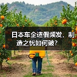 日本车企造假频发，制造之忧如何破？(图2)