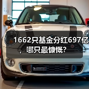 1662只基金分红697亿，哪只最慷慨？(图2)