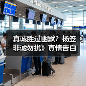 真诚胜过幽默？杨笠《非诚勿扰》真情告白 - 玄熵百博咨询