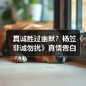真诚胜过幽默？杨笠《非诚勿扰》真情告白(图4)