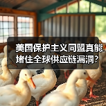 美国保护主义同盟真能堵住全球供应链漏洞？ - 玄熵百博咨询