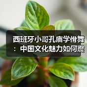 西班牙小哥孔庙学佾舞：中国文化魅力如何震撼世界？(图3)