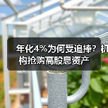 年化4%为何受追捧？机构抢购高股息资产(图4)