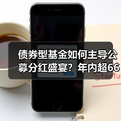 公募基金分红激增背后：债基成主力军，规模瘦身提升体验-玄熵百博咨询(图2)