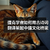 捷克学者如何用古诗词翻译架起中捷文化桥梁？(图4)