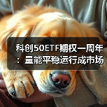 科创50ETF期权一周年：量能平稳运行成市场热门投资工具？(图3)