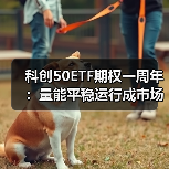 科创50ETF期权一周年：量能平稳运行成市场热门投资工具？(图4)