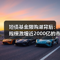 短债基金限购潮背后：规模激增近2000亿的市场博弈(图2)