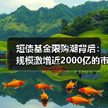 短债基金限购潮背后：规模激增近2000亿 - 玄熵百博咨询