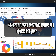 中阿航空枢纽如何吸引中国旅客？ - 玄熵百博咨询