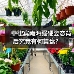 菲律宾南海强硬姿态背后究竟有何算盘？(图3)