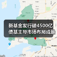 新基金发行破4500亿 债基主导市场布局成最热选择(图4)