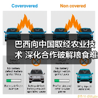 巴西向中国取经农业技术 深化合作破解粮食难题(图2)