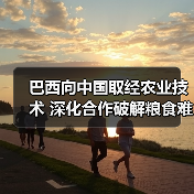 巴西向中国取经农业技术 深化合作破解粮食难题(图4)