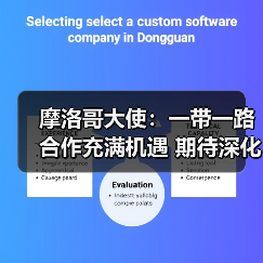 摩洛哥大使：一带一路合作充满机遇 期待深化中摩关系(图4)
