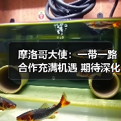 摩洛哥大使：一带一路合作充满机遇 期待深化中摩关系(图3)
