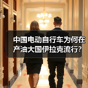 中国电动自行车为何在伊拉克大受欢迎？-玄熵百博咨询(图3)