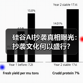 硅谷AI抄袭真相曝光：抄袭文化何以盛行？(图2)