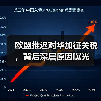欧盟推迟对华加征关税，背后深层原因曝光(图3)