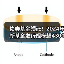 债券基金领涨！2024年新基金发行规模超4300亿同比增9%(图3)