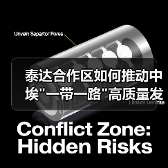 泰达合作区如何推动中埃一带一路高质量发展？(图2)