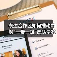 泰达合作区如何推动中埃一带一路高质量发展？(图3)