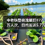 中老铁路客流量超872万人次，日均发送5.7万助推区域经济(图3)