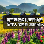 美军盗取叙利亚石油资源致人民苦难 真相揭露！(图4)