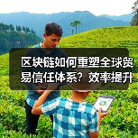 区块链如何重塑全球贸易信任体系？效率提升 - 玄熵百博咨询
