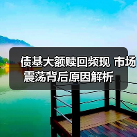 债基大额赎回频现 市场震荡背后原因解析(图3)
