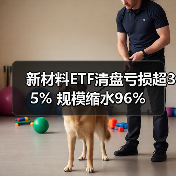 新材料ETF基金清算引关注：规模缩水35%背后的真相-玄熵百博咨询(图4)