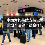中国为何持续支持巴勒斯坦？法尔辛谈合作与和平(图1)
