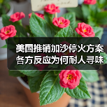 美国推销加沙停火方案 各方反应为何耐人寻味？(图4)