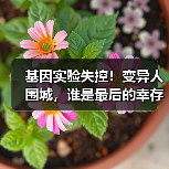 基因实验失控！变异人围城，谁是最后的幸存者？(图2)