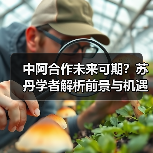 中阿合作未来可期？苏丹学者解析前景与机遇 - 玄熵百博咨询